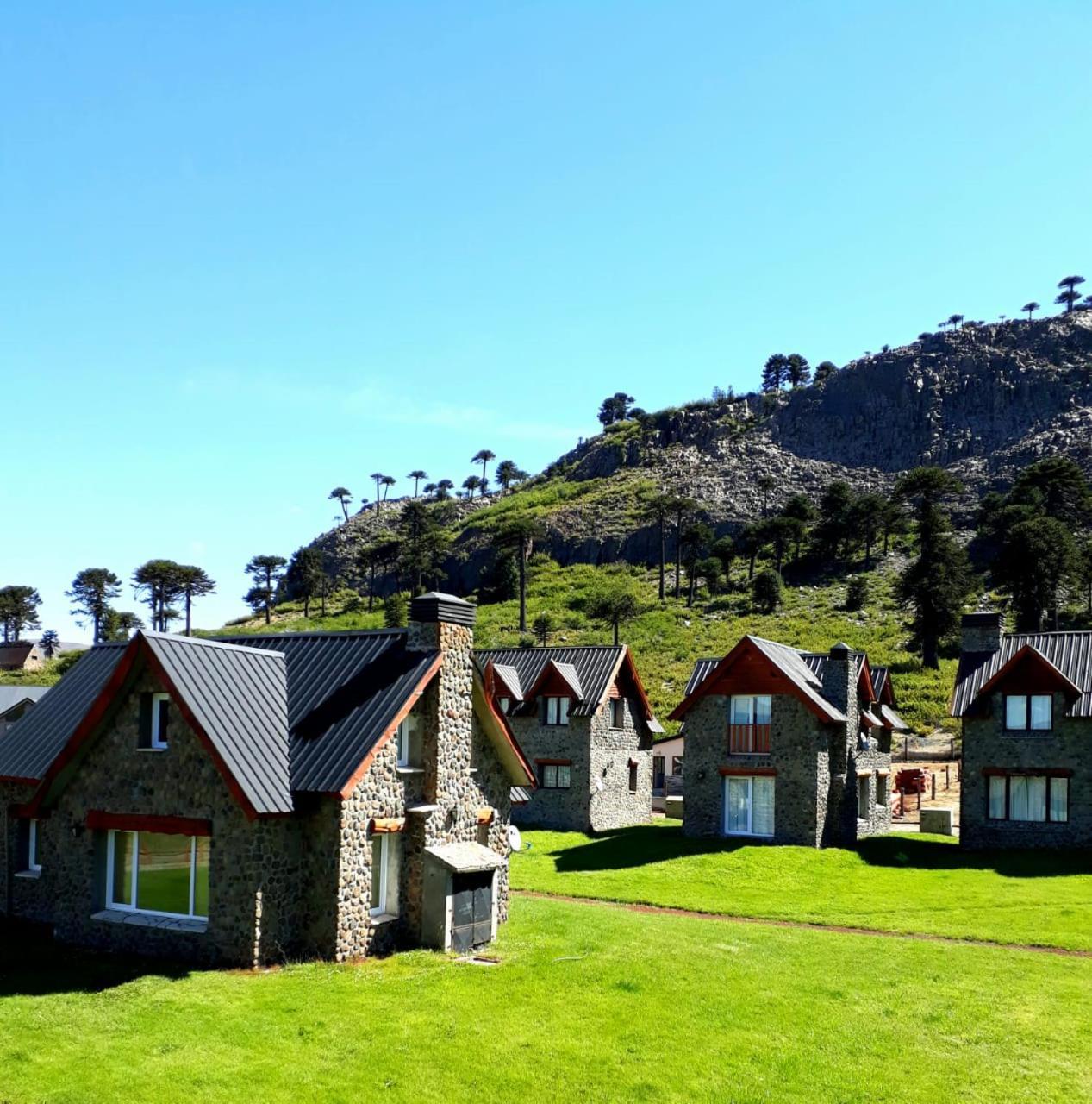 Cabanas Patagonia Village Caviahue Kültér fotó